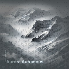 Reex Ambient