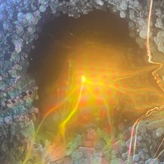 Rain World: The Watcher - A Path A Purpose