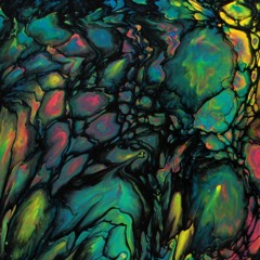 Regiones~Boreales Mix002