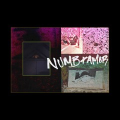 Numb + Amor