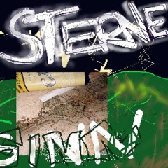 sterne//sinn demo