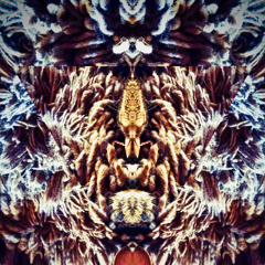 010521001 MN Shared System