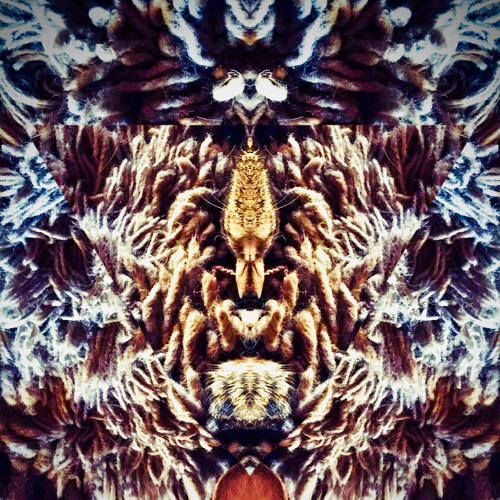 010521001 MN Shared System