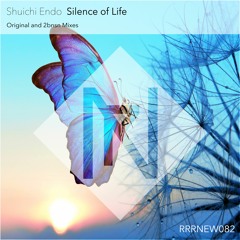 Shuichi Endo - Silence Of Life (2bnsn Remix)