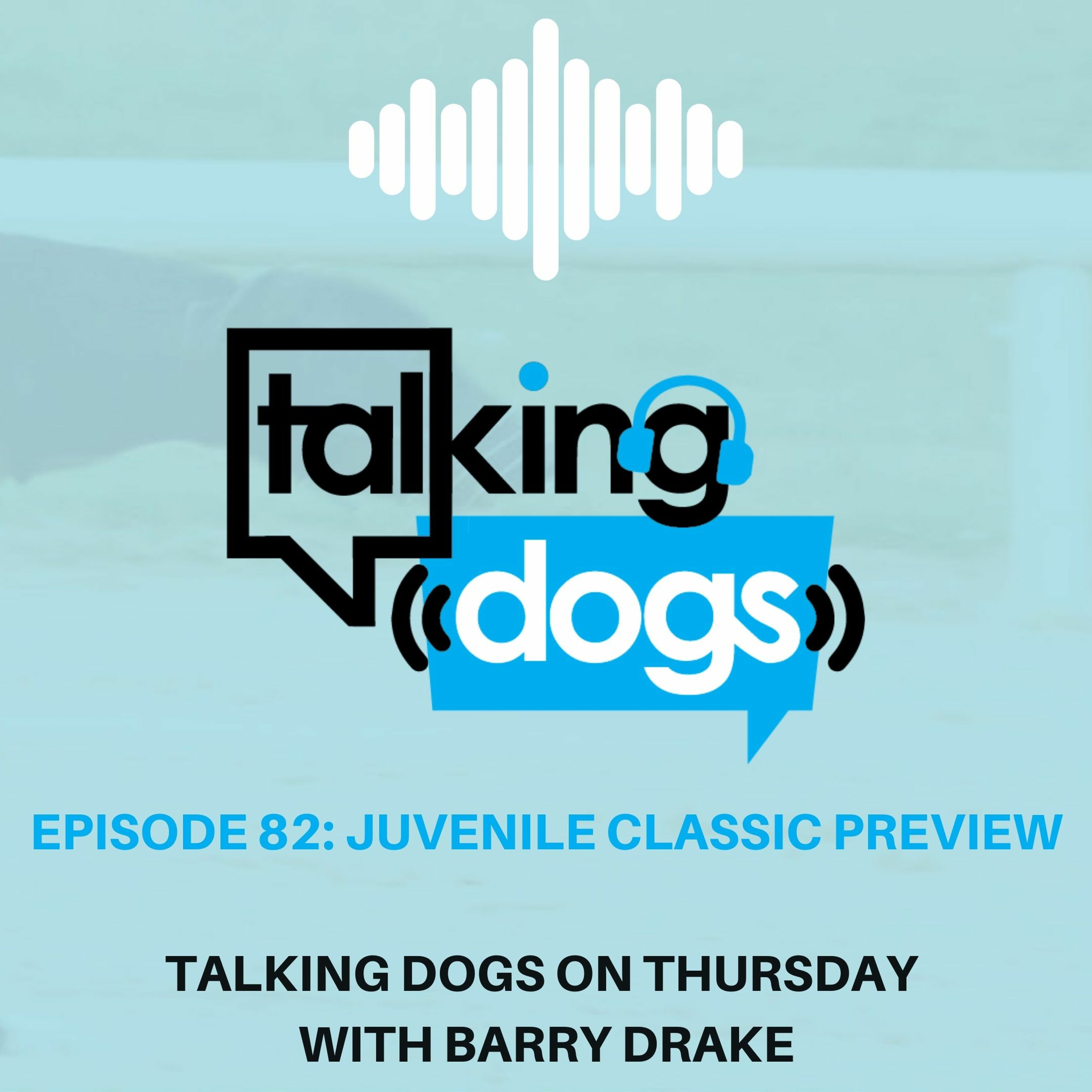 Talking Dogs on Thursday
