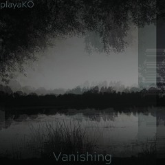 Vanishing