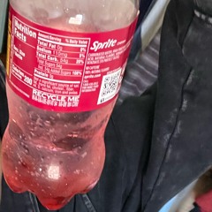 Autopint2