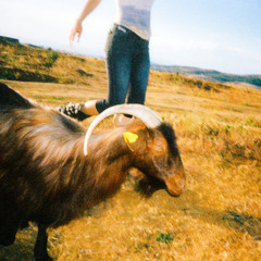 Për Kon