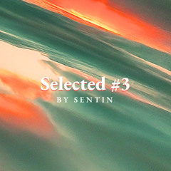 Sentin Selected #3