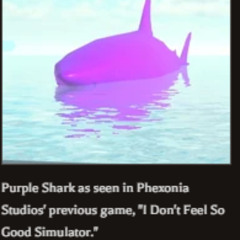 purple shark 3
