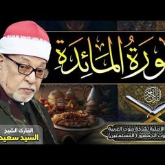 سورة المائدة  -  الشيخ السيد سعيد ️ بدون صوت الجمهور  خشوع واحساس يبكي ا