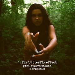 Evelyn Palace - the butterfly effect