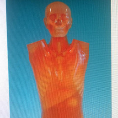 li ol blo - told you