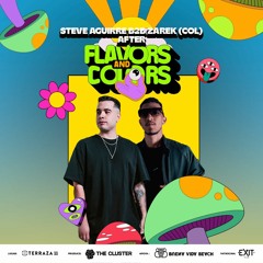 Steve Aguirre B2B Zarek (COL) - After Flavors And Colors Cali 2023