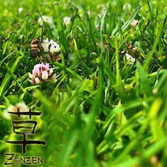 Grass 草