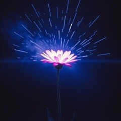 Wildfire - Electronic / EDM