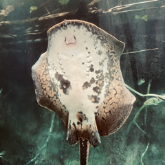09-2022