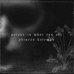 Poison Is What You Are (demo)