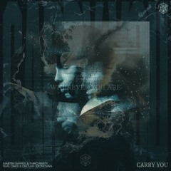 Martin Garrix & DubVision Vs. Third Party - Wherever You Are Vs. Carry You (Gioo Mashup)