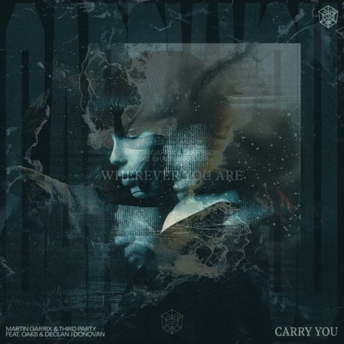 Martin Garrix & DubVision Vs. Third Party - Wherever You Are Vs. Carry You (Gioo Mashup)