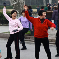 Jade Forest 06-12-2025