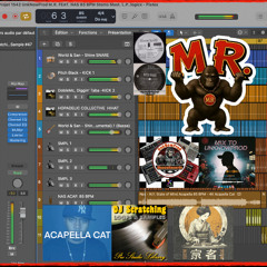 Projet 1542 UnkNowProd M.R. FEAT. NAS 85 BPM Stems Mast. L.P.wav