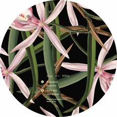 YF016 - Argo - Montagnes