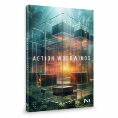ACTION WOODWINDS - Demos