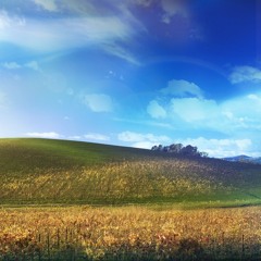 Dreaming of Tomorrow