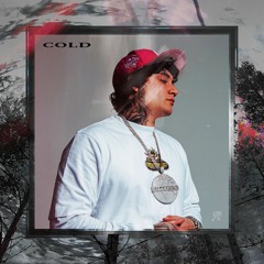 COLD - OhGeesy & Fenix Flexin REMIX (prod. pimees)