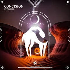 Peter Soul - Concision (Cafe De Anatolia)
