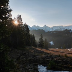 20220501 050900 CH Waegital Heizli Dawn Chorus ORTF