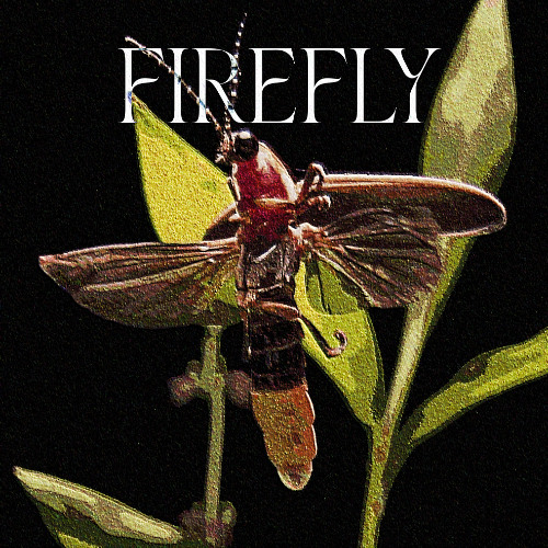 Firefly (WIP)