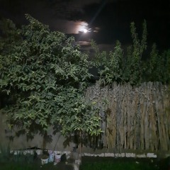 وَإِذَا مَسَّ ٱلۡإِنسَـٰنَ ضُرࣱّ دَعَا رَبَّهُۥ مُنِیبًا إِلَیۡهِ. الشيخ محمد البربري