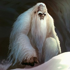 Yeti