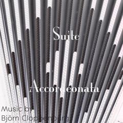 Suite Accordéonata