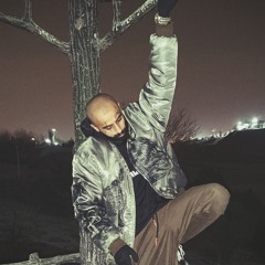 niagara falls  ( cover by raparsa )