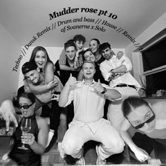 Mudder rose pt 10 // Svanerne x Solo