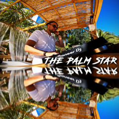 The Palm Star Ibiza Mix 2