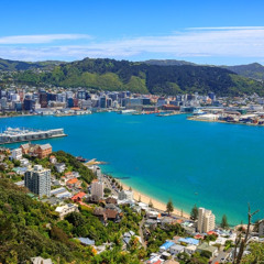 Wellington Beach Paradise - Windy Wellington