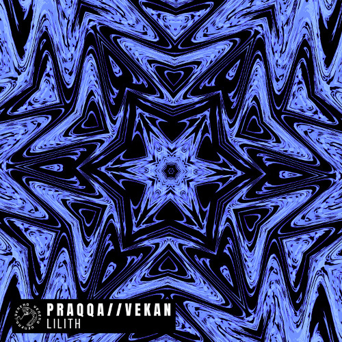 Praqqa, Vekan - Acadia (Capra MA Remix)