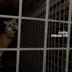 Rescue Me (Zanzibar Remix)