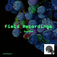 waehldigi012 | Field Recordings - Hyphae