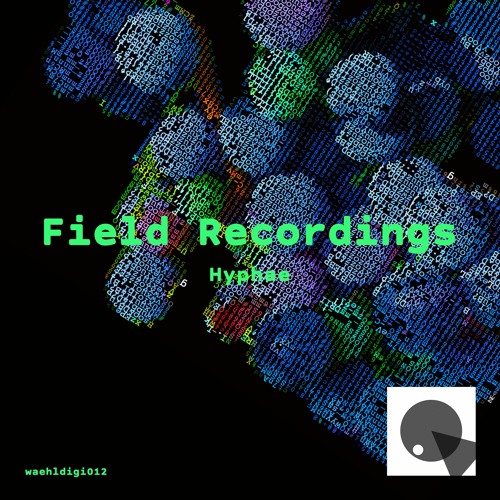 waehldigi012 | Field Recordings - Hyphae