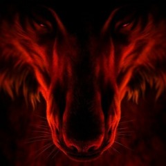 DarkWolfTekk - Neuruppin