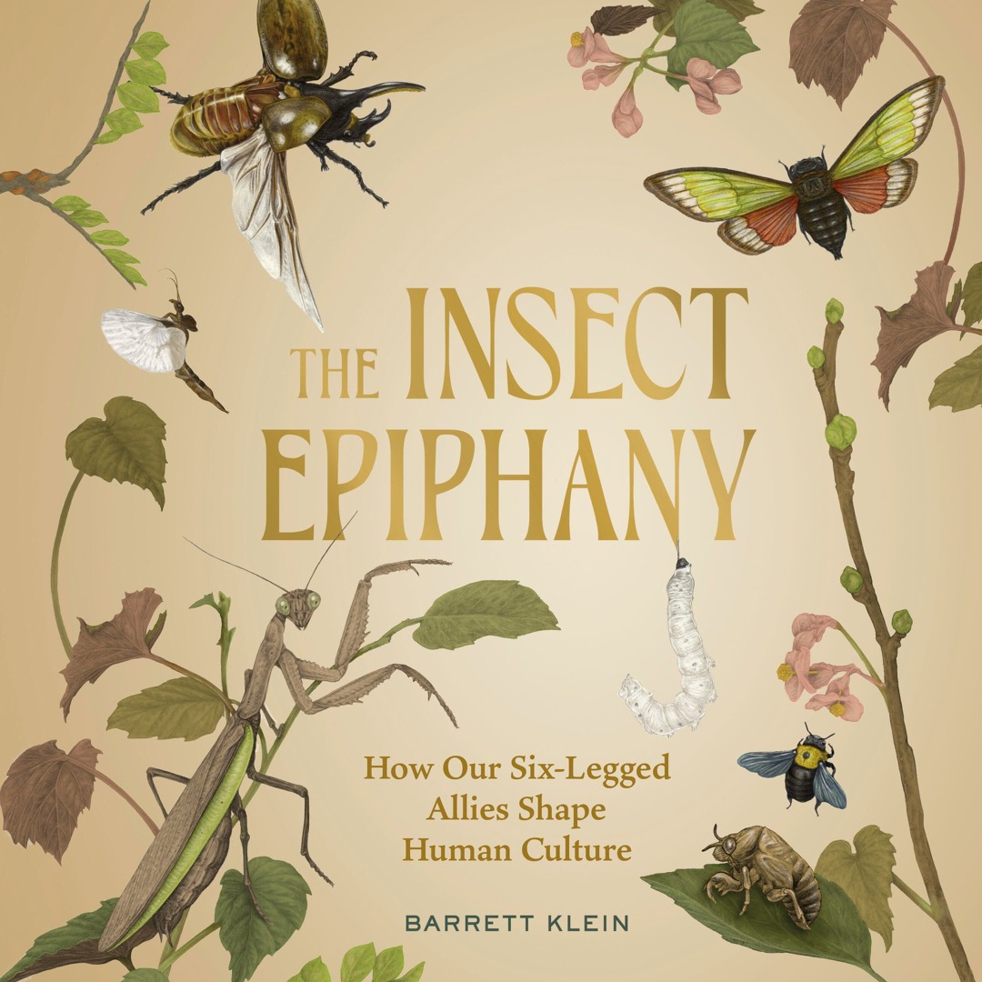 Stream The Insect Epiphany By Barrett Klein Read By Sean Patrick ...
