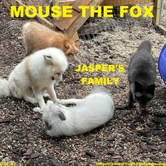 MOUSE THE FOX - JASPER'S FAMILY - VOL.41 - 13.02.2022