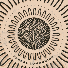 Indefinite Pitch PREMIERES. w_iro - Raid Of The Natives [Psylocybina]