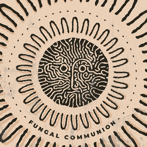 Indefinite Pitch PREMIERES. w_iro - Raid Of The Natives [Psylocybina]