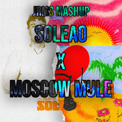 Soleao x Moscow Mule - Quevedo, Myke Towers, Bad Bunny (JRMS Extended Mashup) | 102 bpm